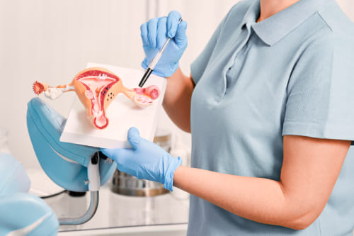 Miomatosis uterina en la perimenopausia