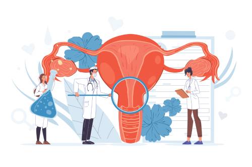 Tratamiento de infecciones vaginales recurrentes (vulvo-vaginitis infecciosa)