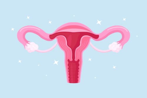 Cirugía vaginal reconstructiva