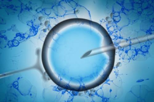 Histeroscopia y reproducción asistida