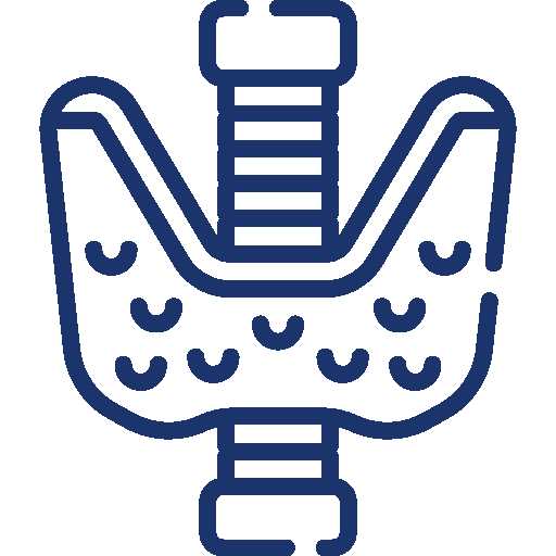 Ginecología endocrina