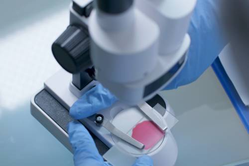 Biopsia de mama por Trucut