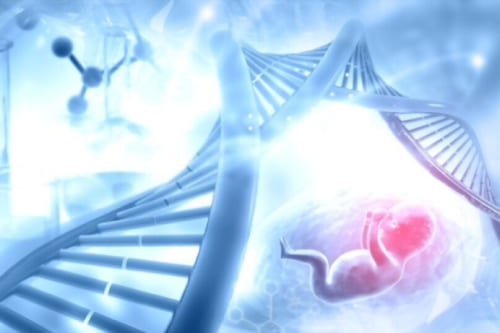 Embarazo y DNA fetal