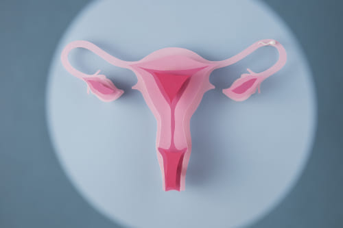 Aspiración manual endouterina