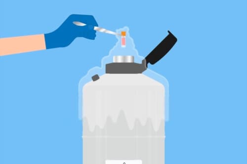 Vitrificación o congelación de óvulos