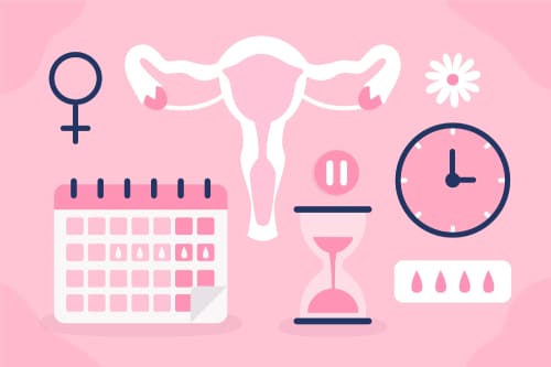 Preparación endometrial