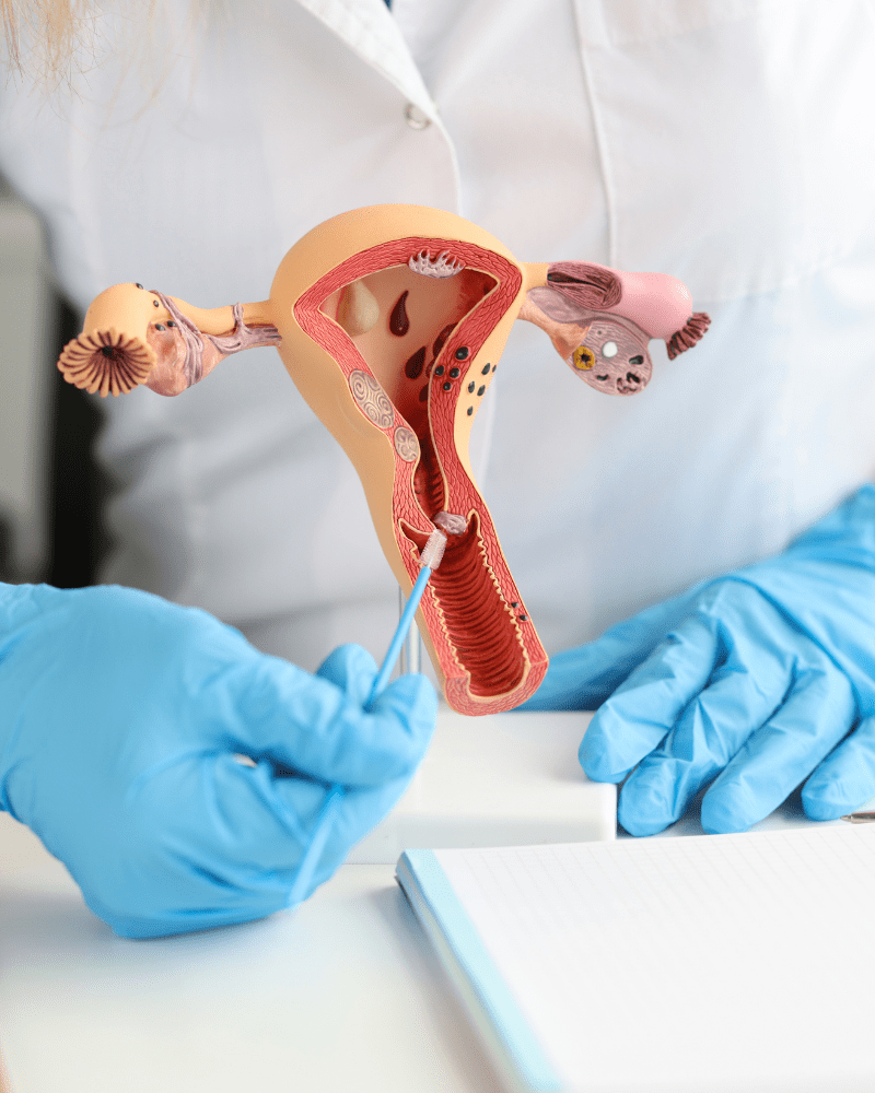 ginecologo-especialista-en-infecciones