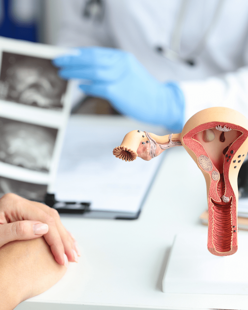 precio-consulta-ginecologo